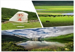 广州到阿坝物流专线,专业运输广州至阿坝货运公司