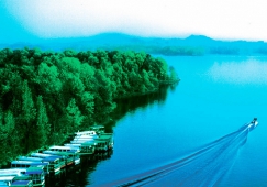 广州到信阳物流专线，广州到信阳货运公司，物流运输电话