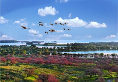 佛山到白城物流专线|佛山到白城物流公司|佛山至白城货运价格