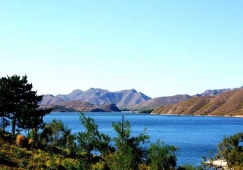 佛山到葫芦岛物流公司|佛山到葫芦岛物流专线|佛山到葫芦岛货运公司