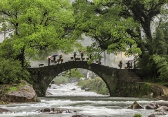 河源到衢州物流公司|河源到衢州货运专线